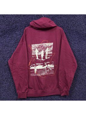 Paramore This Is Why Album Trio Poster Pop Punk Hoodie 2XL